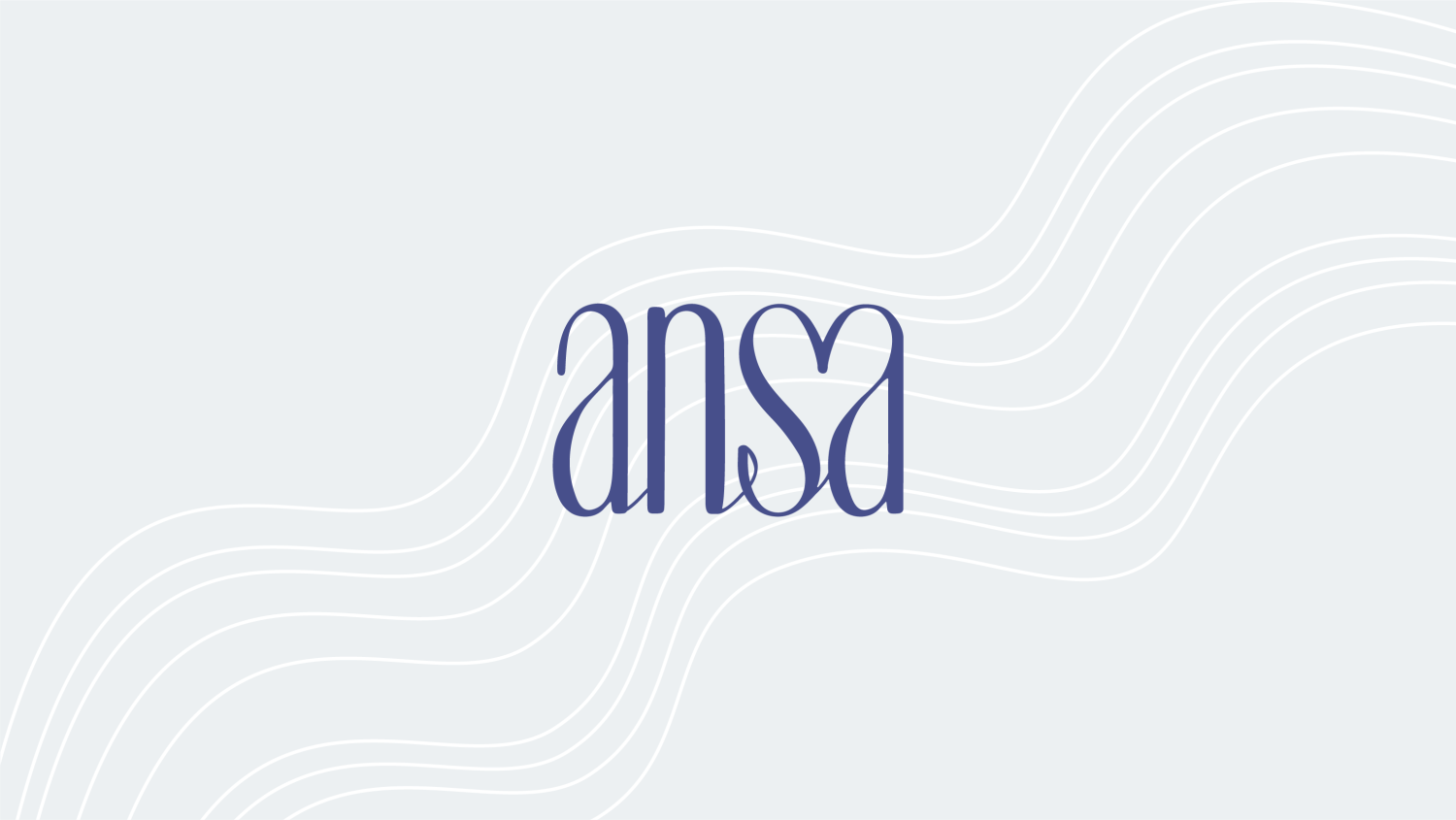Ansa Store