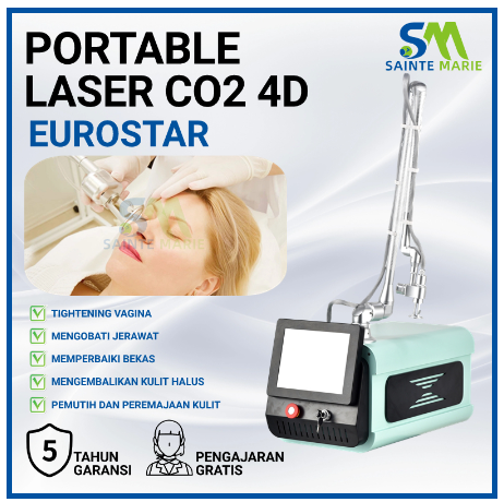 Portable Laser CO2 fractional 4D Penghilang Stretch Mark Laser wajah Penghilang bekas jerawat/Vaginal Tighten Skin Care Resurfacing Beauty